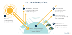 Read more about the article Advantages of the Greenhouse Effect and Disadvantages